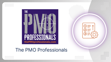 The PMO Professionals