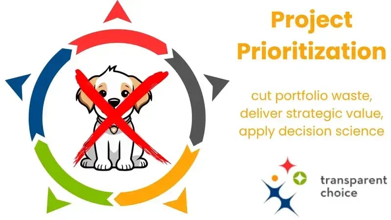 TransparentChoice project prioritization software demo video