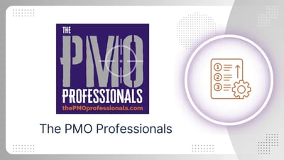 The PMO Professionals