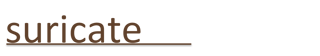 suricate logo - no picture.png