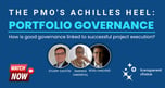 Portfolio Governance - Insights, Strategies & Tips