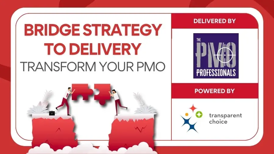 Bridge Strategy to Delivery with The PMO Professionals
